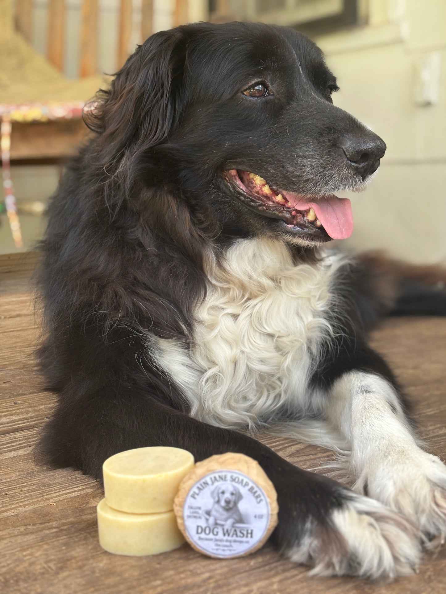 Dog Shampoo Bar  | Tallow. Lard & Oatmeal Soap Bar for Dogs (4oz)